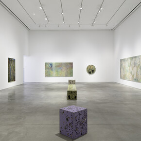 Sam Falls, Amongst the living, exhibition view. Courtesy of 303 Gallery 