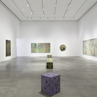 Sam Falls, Amongst the living, exhibition view. Courtesy of 303 Gallery 