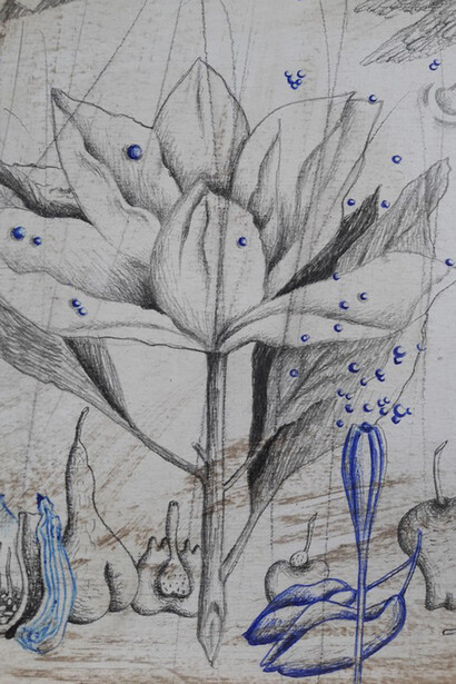 Octavia Monaco, Selenografia, Luna piena, dettaglio