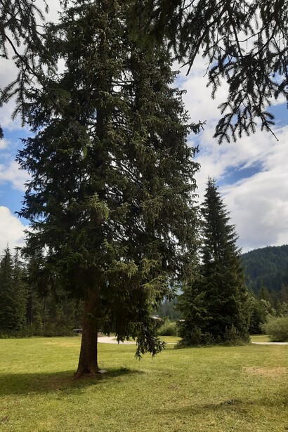 Val Fiscalina, foto Simonetta Sandri