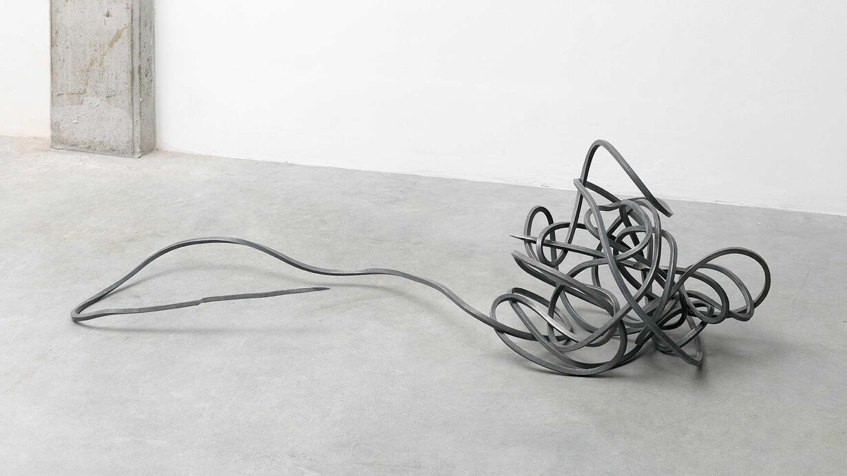 Paolo Icaro, Percorso neuronale, 2011. Courtesy of the artist and Galleria Massimo Minini