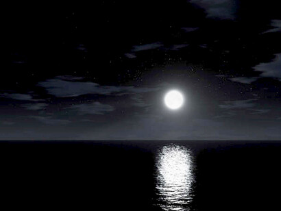 Without stopping for one second  we must continue to act, following the scripted joys and pains that we must share