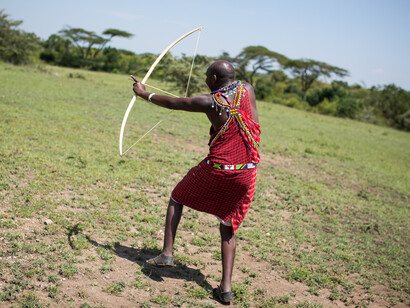 Los estudios evidencian la cantidad de datos del pasado que puede obtenerse con las nuevas técnicas de biotecnología a partir de los cráneos existentes en los museos. Maasai Mara, 2015, un guía masái dispara un arco y una flecha de caza tradicionales.Ol Kinyei, Kenia