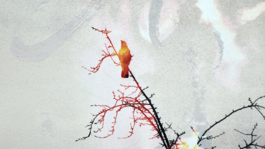 As queimadas no Brasil formam um cenário sombrio de destruição e perda. O céu se mistura ao luto das árvores e às vidas que se foram. A urgência pela preservação surge entre as cinzas e o silêncio da natureza em resistência