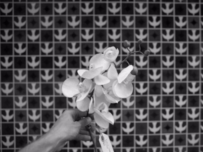 Alberto Baraya, Estudos comparados modernistas: Athos Bulcão. Courtesy of Galeria Nara Roesler