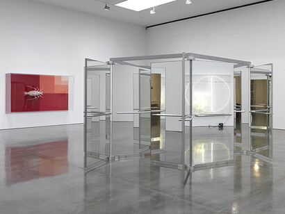 Artwork © Carsten Höller. Photography by Rob McKeever. Courtesy Gagosian.