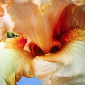 Joel Grey. Courtesy of Staley-Wise Gallery