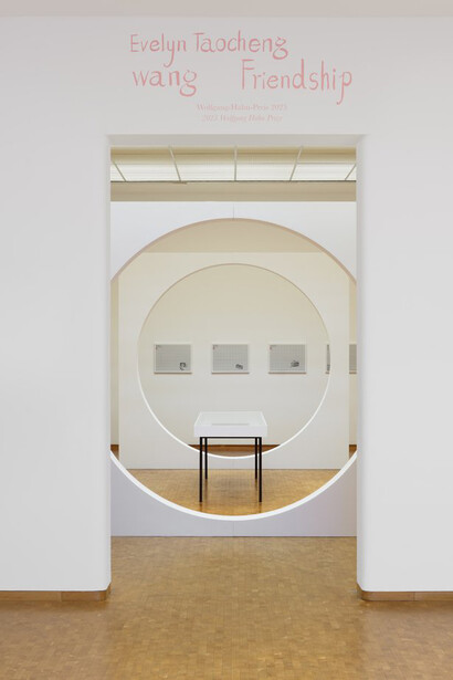 Evelyn Taocheng Wang. 2025 Wolfgang Hahn Prize, exhibition view. Courtesy of Museum Ludwig