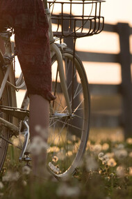 Persona pedala su una bicicletta in un prato pieno di piccole margherite al tramonto