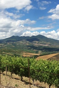 L’Aglianico del Vulture è un vino rosso DOCG prodotto in Basilicata, nelle pendici del Monte Vulture, un antico vulcano spento. Foto del panorama del Monte Vulture con una vigna di Aglianico del Vulture di Gianmarco Tirico