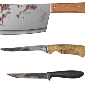 Tracking the Crime. Courtesy of Charité Museum of Medical History Berlin