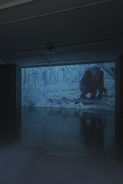 Amalia Pica. Courtesy of IMA