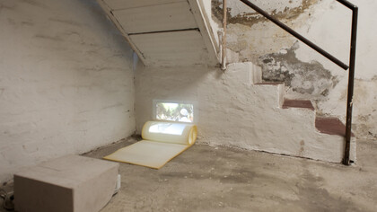 Massimo Ricciardo. Permanent vacation, 2014-15, video-installazione