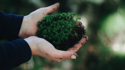 O mundo viu ser incoerente a ideia fixista de que a natureza está para nos servir eternamente
