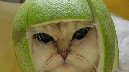 Salve mi chiamo Eve!