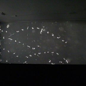 La India Contaminada. Courtesy of Lehmann Maupin