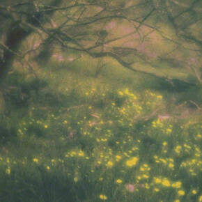 Shades of Verdancy. Courtesy of Soho Photo Gallery