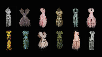 Internal Collection, 2016-2017 by Amy Karle