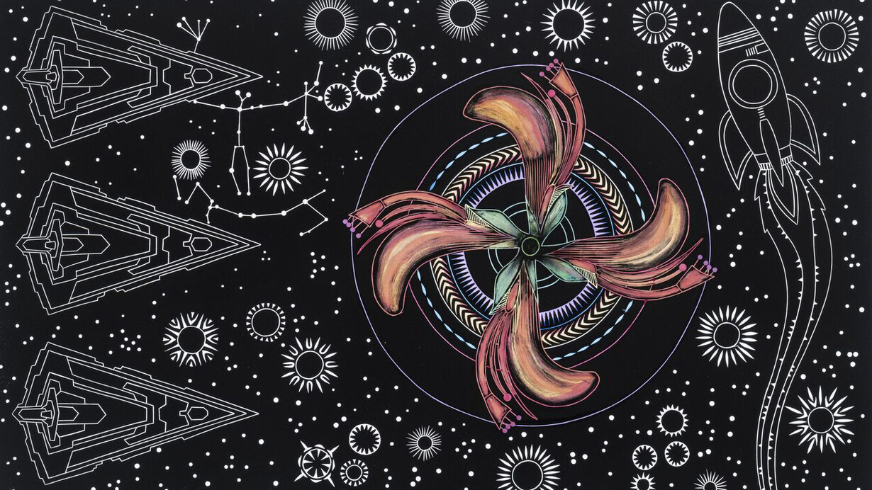 Brian Robinson, Abundance of country: batwing coral (detail), 2026. Courtesy of Onespace Gallery