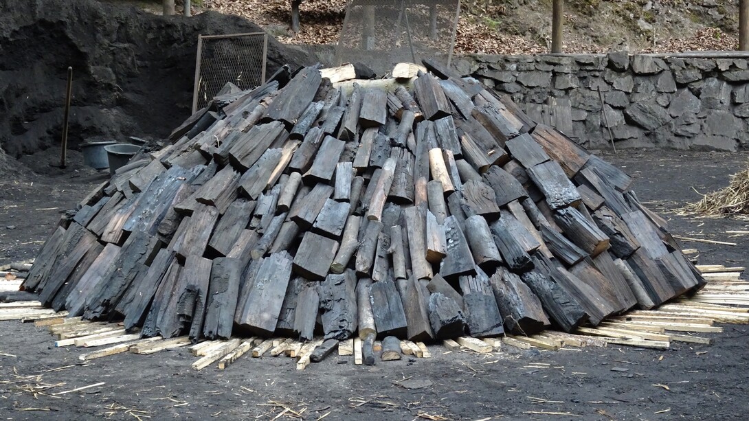 Il mestiere del carbonaio è un'arte antica che richiede esperienza, pazienza e una profonda conoscenza del bosco