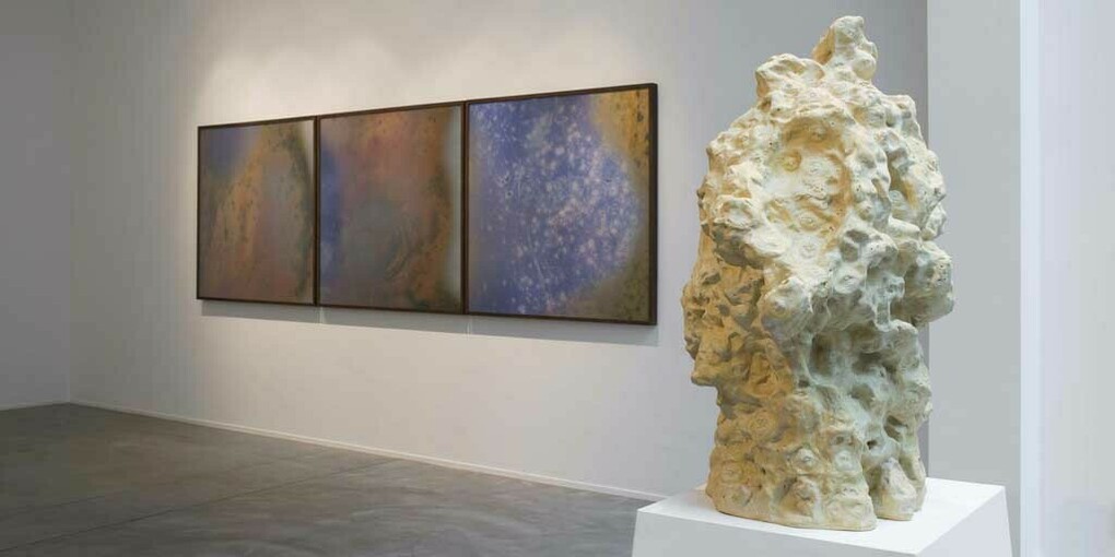 Jitish Kallat, Exhibition view. Courtesy of Galerie Daniel Templon