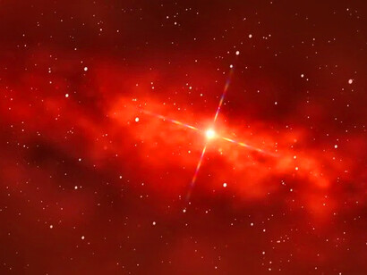 El universo se anidó en mí, incubando una criatura de alegría