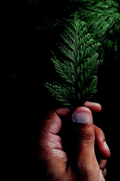 Os desafios do mundo pós-pandemia