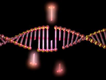 Gene-removal from a strand of DNA