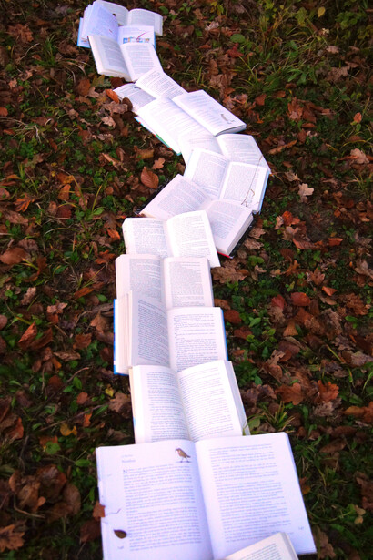 Camino de libros sobre hojarasca: leer tiene esa propiedad, que también poseen las conversaciones significativas, de formar conexiones neuronales que nos ayudan en la interacción con el medio y con los demás