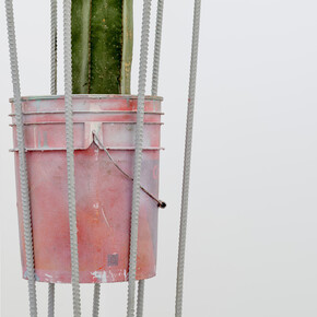 Adrien Missika, Superior Futuro (Cactus), 2015. Hormigón, acero, botes de pintura Comex, pintura, madera, sellador, plantas, suelo. 133.46 x 25.59 x 25.59 pulgadas