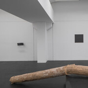 Locus Rei, Exhibition view. Courtesy of Galleria Doris Ghetta