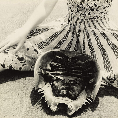Francesca Woodman (1958-1951), Untitled (horseshoe, crab, providence), c 1976, gelatin silver print, 5.125 X 5.125in