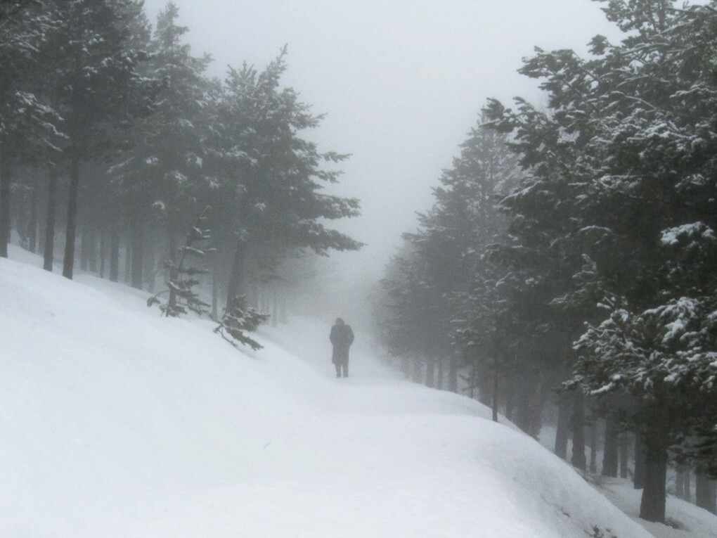 Ori Gersht, Evaders, 2009