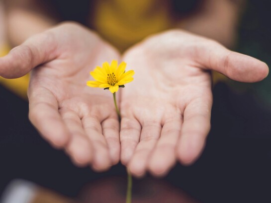 La mindfulness inizia quando smettiamo di dare per scontato ciò che viviamo ogni giorno