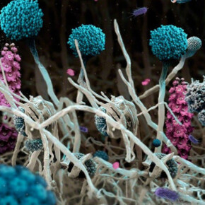 Aqua Aura. Courtesy of Luisa Catucci Gallery 