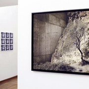 Lala Meredith-Vula. Courtesy of Alberto Peola Gallery