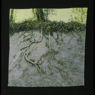 Carol Shinn. Courtesy of Tansey Contemporary