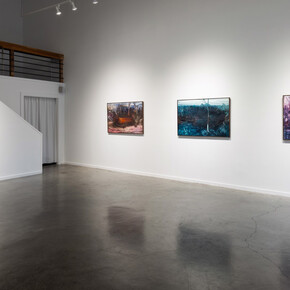 Dax van Aalten, Incidental meditations, exhibition view. Courtesy of Red Arrow Gallery