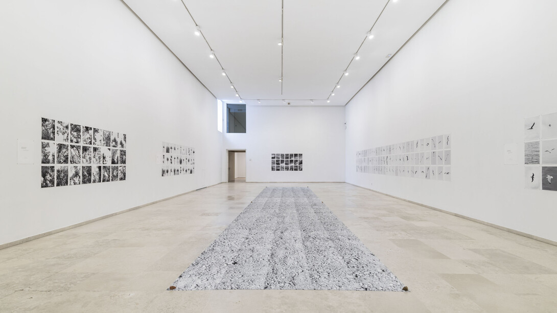 Juan del Junco, Ese gran trecho que -aún en vuelo- separa el secano de dos mares, vista de exhibición. Cortesía del Museo Patio Herreriano