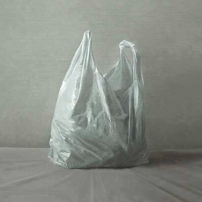 Carrier bag, oil on linen, 40 x 33 cm. Courtesy of the Molesworth Gallery