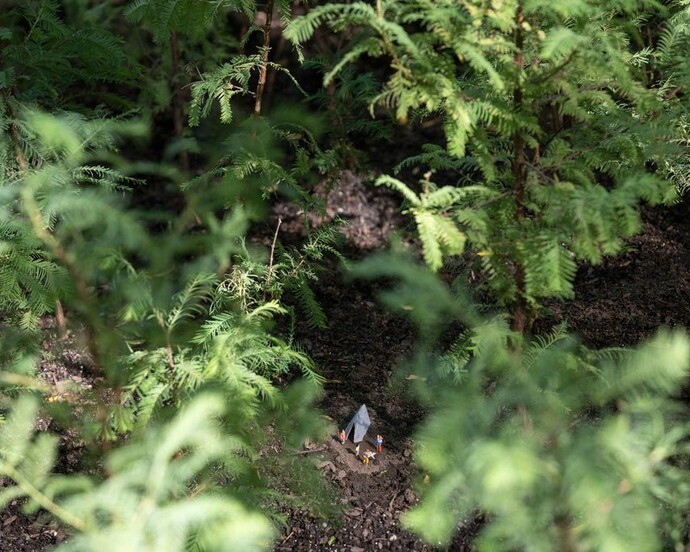 Spencer Finch: Lost Man Creek. Courtesy of Public Art Fund