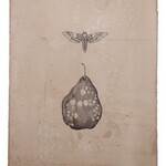 Barbara Paci Galleria d'arte