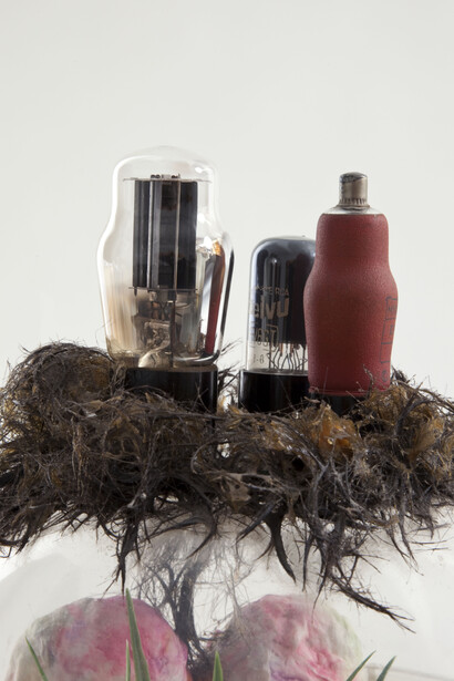 Tetsumi Kudo, Cultivation of Nature & People Who Are Looking At It (detail), 1970 – 1971, Plastic, artificial soil, glass, cotton and resin
33 x 26 x 26 cm / 13 x 10 1/4 x 10 1/4 in
Photo: Jessica Eckert © Estate of Tetsumi Kudo, ADAGP, Paris, ARS, New York and DACS, London 2015, Hiroko Kudo. Courtesy Hauser & Wirth and Andrea Rosen Gallery