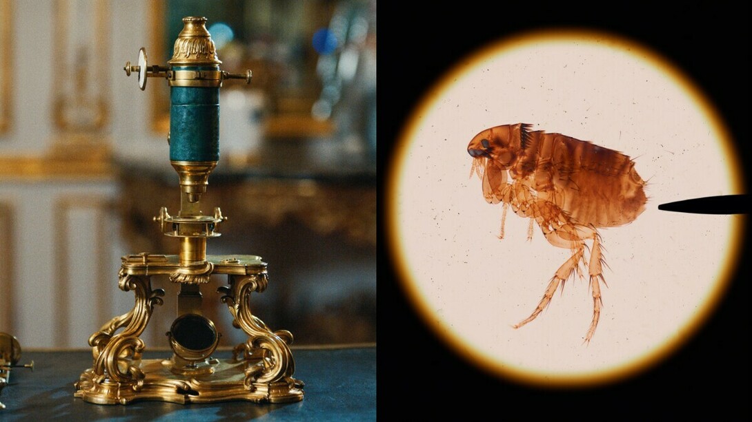 Compound microscope with a micrometric stage, 1750s. Courtesy of J. Paul Getty Museum