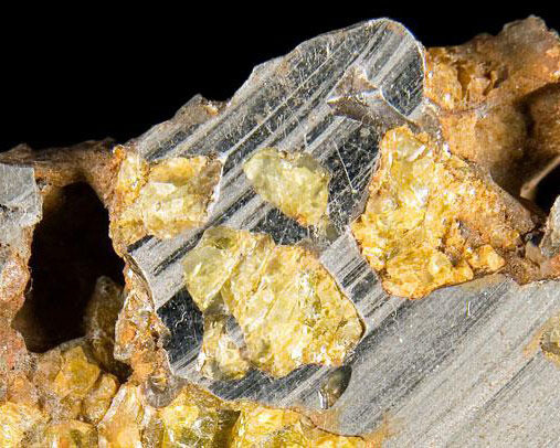 Mineral Hall. Courtesy of Royal Belgian Institute of Natural Sciences