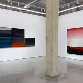 Nico Munuera, The willow is green, exhibition view. Courtesy of Moisés Pérez de Albéniz Gallery