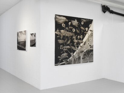 Rainbow Road. Courtesy of Galerie Sébastien Bertrand