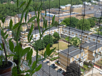 Designers in Residence 2018. Courtesy of Design Museum