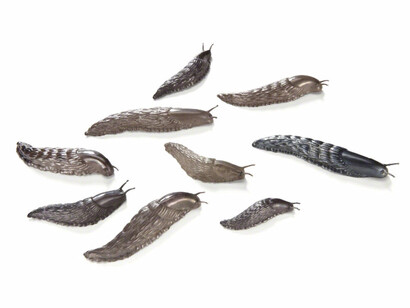 David Bielander. Courtesy of Gallery S O