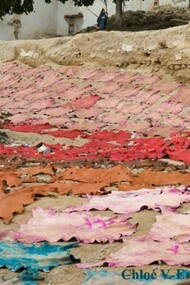 Tannery in Morocco. Skins in several colors